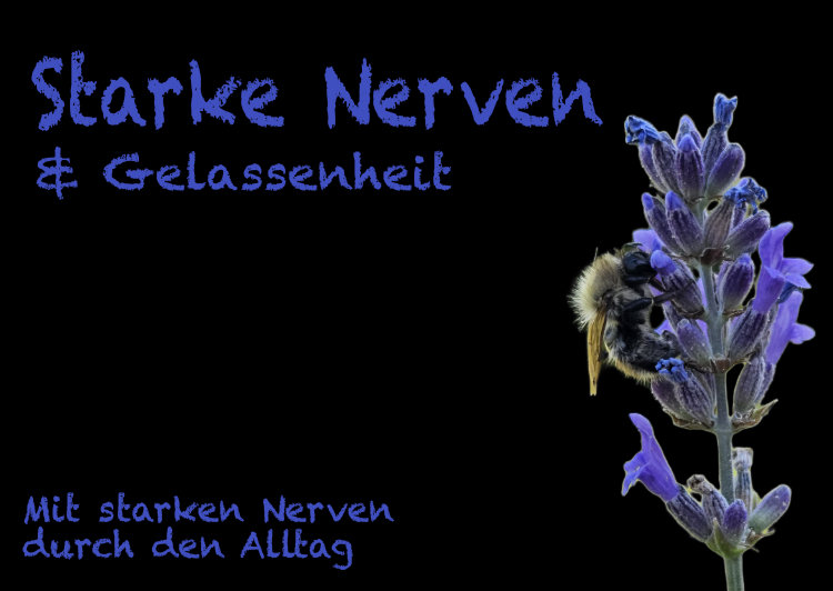 Unser Nervensystem – Mit starken Nerven durch den Alltag
