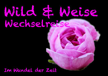 Wild & Weise Wechselreise